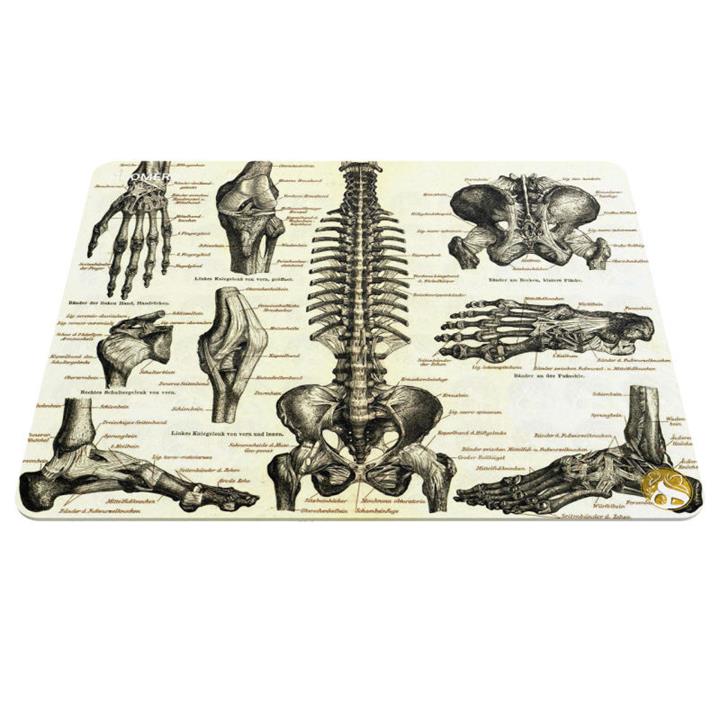 ماوس پد هومرو مدل A5562 طرح پزشکی آناتومی Hoomero Anatomy Medicine A5562 Mousepad